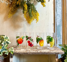 Vintage Fruit Tumblers