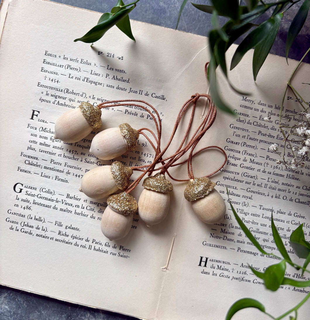 Little Glitter Acorns