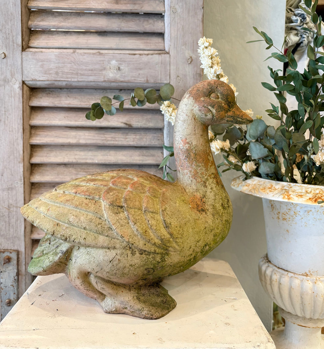Terracotta Duck