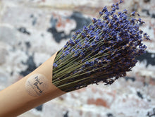 Dried Lavender